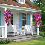 Perfect home garden decoration🌺hanging morning glory🌺✨ - Mozmade