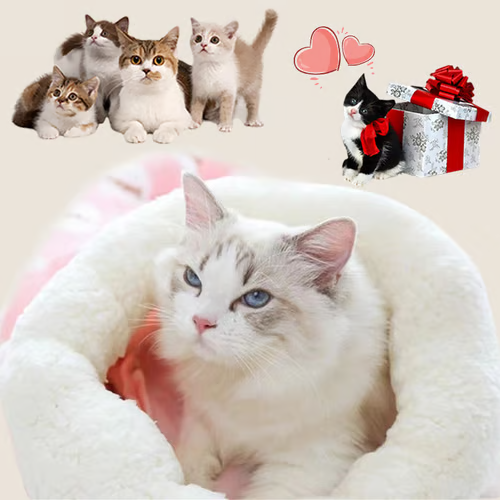 Cozy Pet Nest for Cats and Dogs 🐾🔥 - Mozmade