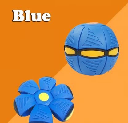 The Doggy Disc Ball💞💥 - Mozmade