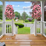 🌺✨Perfect home garden decoration🌺hanging morning glory