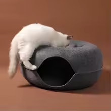 Cat Tunnel Bed Play, Hide & Nap Bed