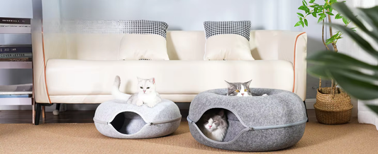 Cat Tunnel Bed Play, Hide & Nap Bed