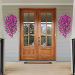 🌺✨Perfect home garden decoration🌺hanging morning glory