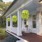 🌺✨Perfect home garden decoration🌺hanging morning glory