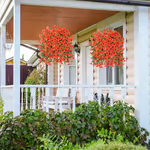 🌺✨Perfect home garden decoration🌺hanging morning glory